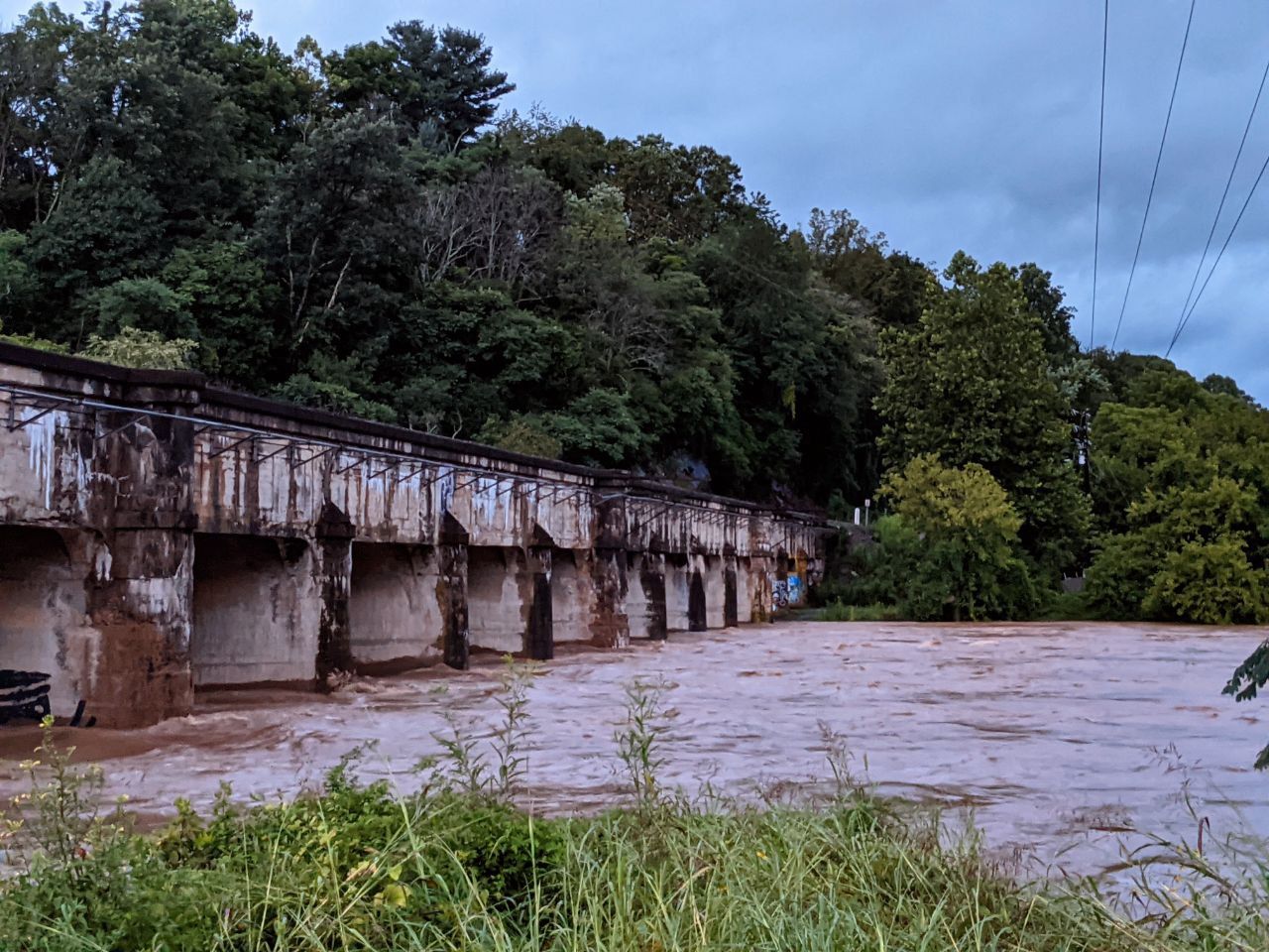 French Broad river, surrounded by greenery, with a bridge crossing over. River is flooding.