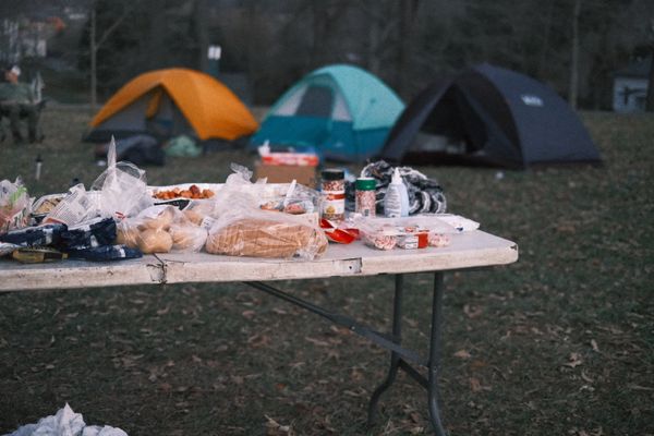 Camp Sweeps and Press Freedom Violations; Merry Christmas from The City of Asheville.